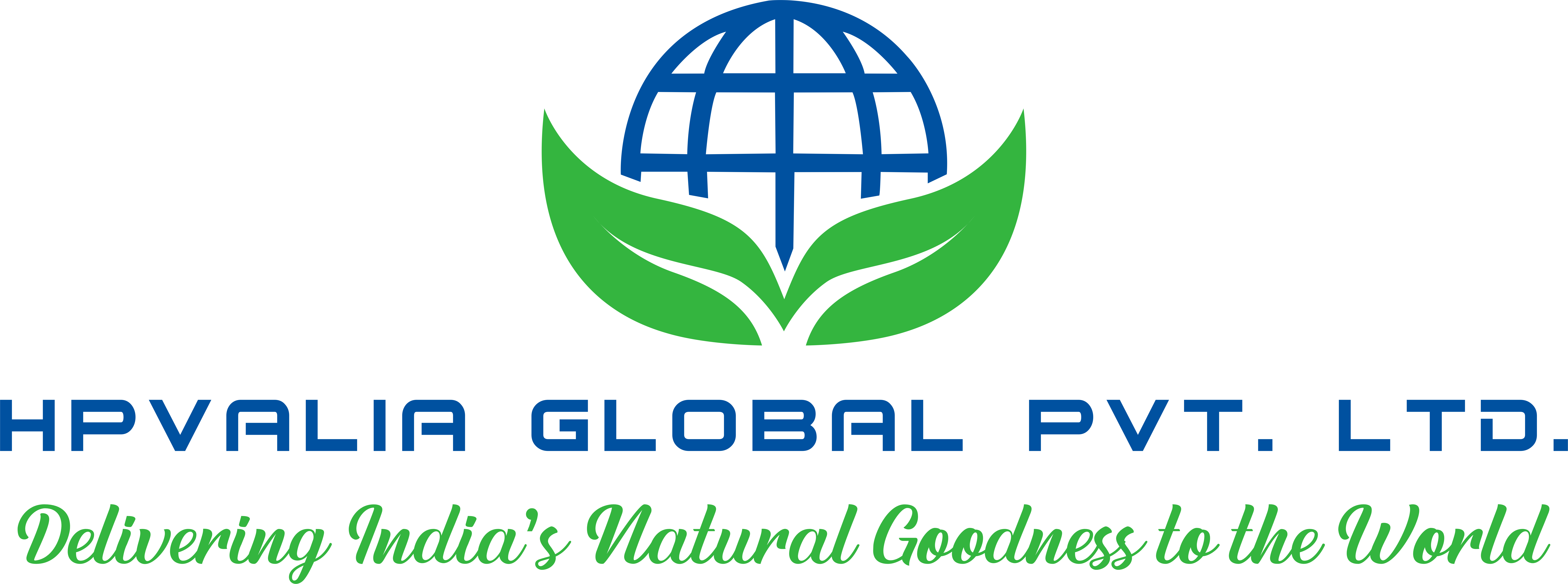 Valia Global Logo